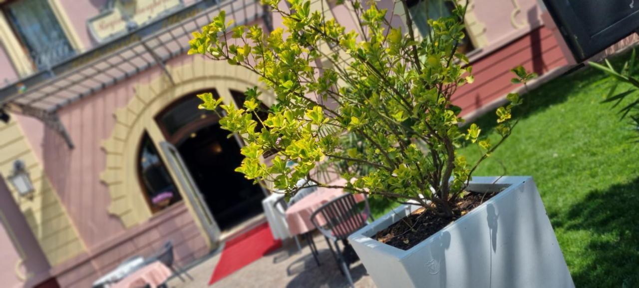 Hotel Villa Regina Margherita Rovigo Exterior photo